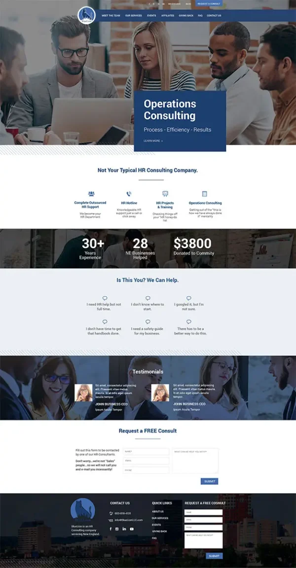 Blue Lion website design