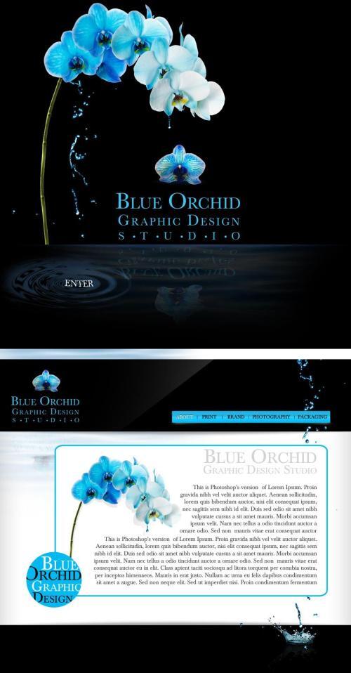 Blue Orchid Graphic Design Studio website design
